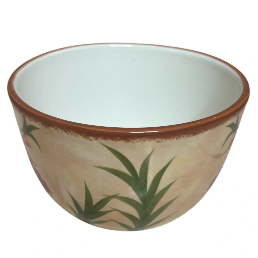 Pier 1 Poppies Bowls 6” Soup / Cereal Bowl Hand Painted Earthenware 4 Pc Set Red